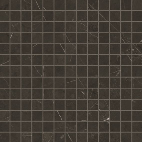 Anima Graphite Composizione F Lucidato 30*30