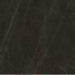 Anima Graphite Rett Lucidato 60*60*9,5