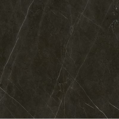 Anima Graphite Rett Lucidato 60*60*9,5