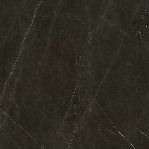 Anima Graphite Rett Lucidato 60*60*9,5