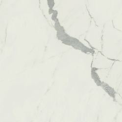 Anima Statuario Venato Rett Lucidato 60*60*9,5