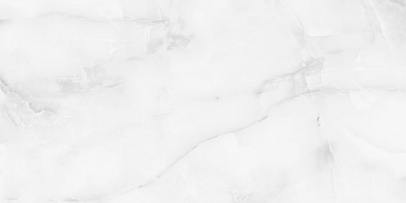 Antisky Grey light Polished 60x120