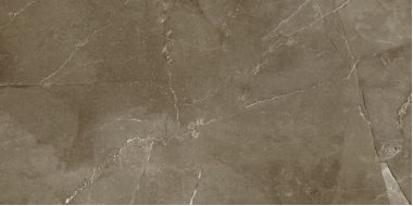 Anubis Brown 31.6x63.2