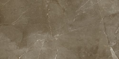Anubis Brown 31.6x63.2