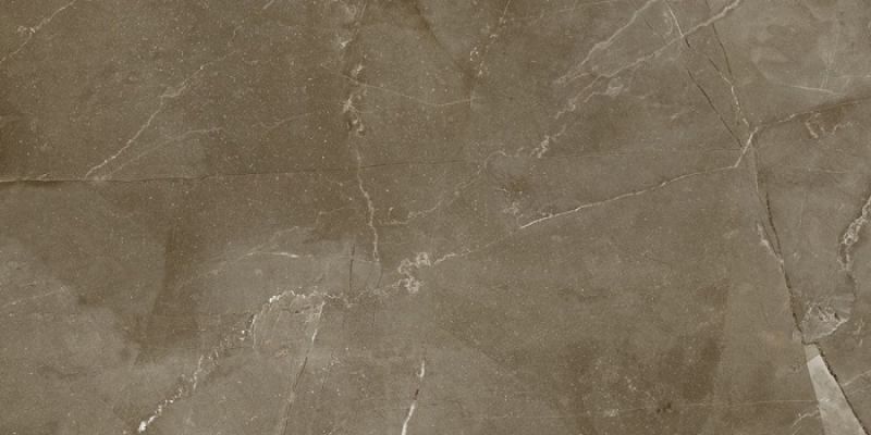 Anubis Brown 31.6x63.2