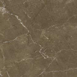 Anubis Brown 44.7x44.7