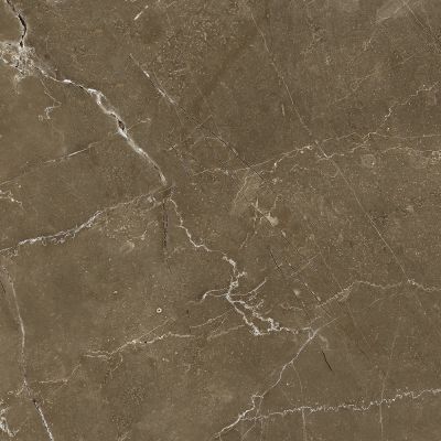Anubis Brown 44.7x44.7