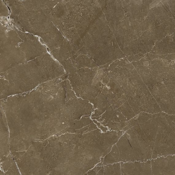 Anubis Brown 44.7x44.7
