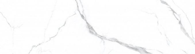 Apaune Statuario matt 80x240
