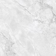 Arabescato Grey Glossy 80x80
