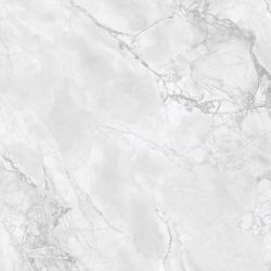 Arabescato Grey Glossy 80x80