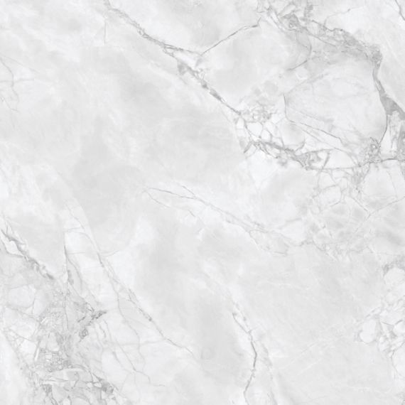 Arabescato Grey Glossy 80x80