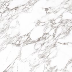 Arabescato Oscuro Elegance Polished 120х120