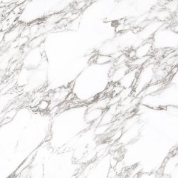 Arabescato Oscuro Soft Satin 120x120