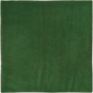 Aranjuez Verde g.154 20x20