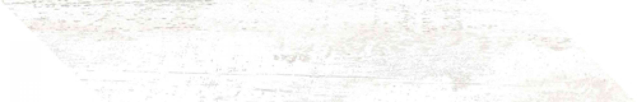 Arcadia-R Blanco Izquierda L 14,4x74,8