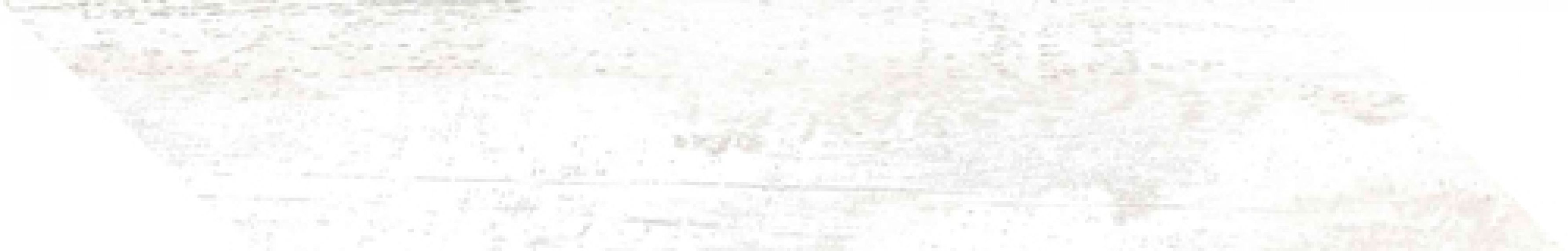 Arcadia-R Blanco Izquierda L 14,4x74,8