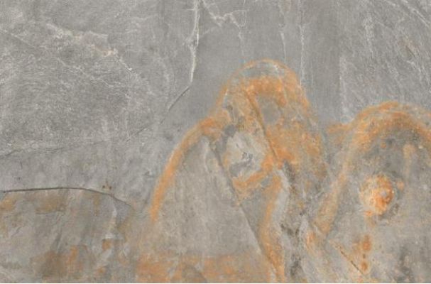 Ardesia Grey 60х90