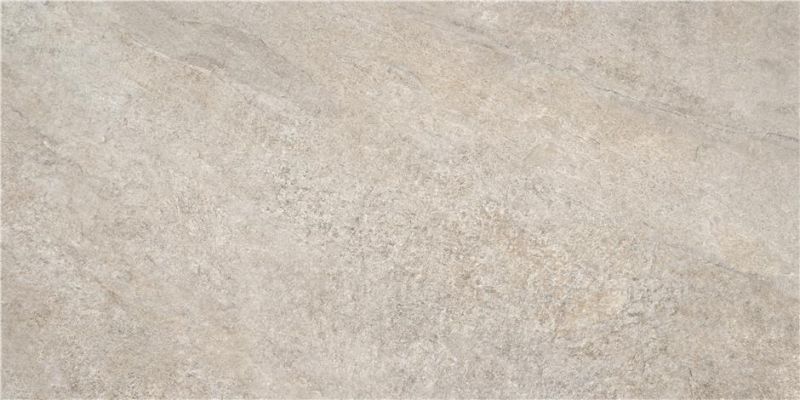 Ardesia Moon MT Rect 60x120