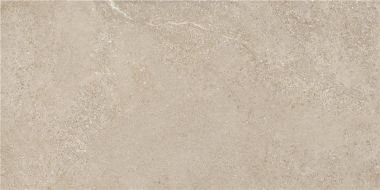 Arenite Natural Matt 60x120