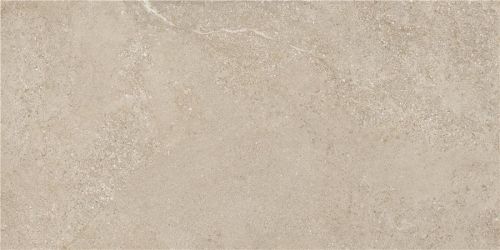 Arenite Natural Matt 60x120