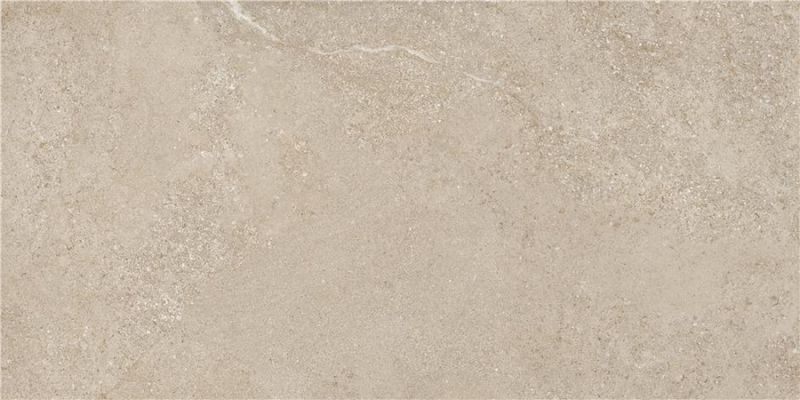 Arenite Natural Matt 60x120