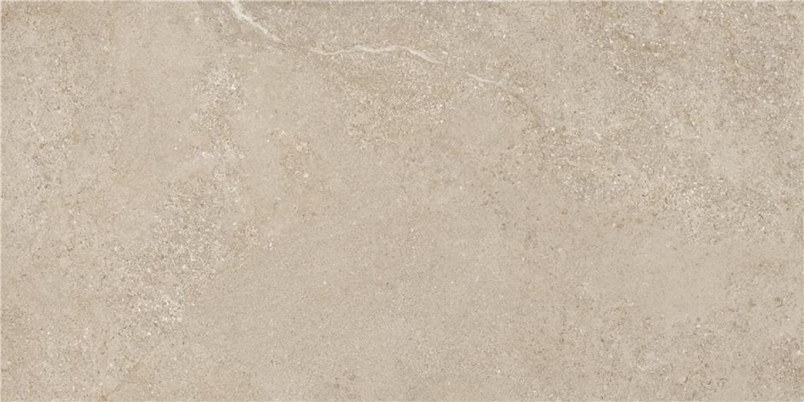 Arenite Natural Matt 60x120