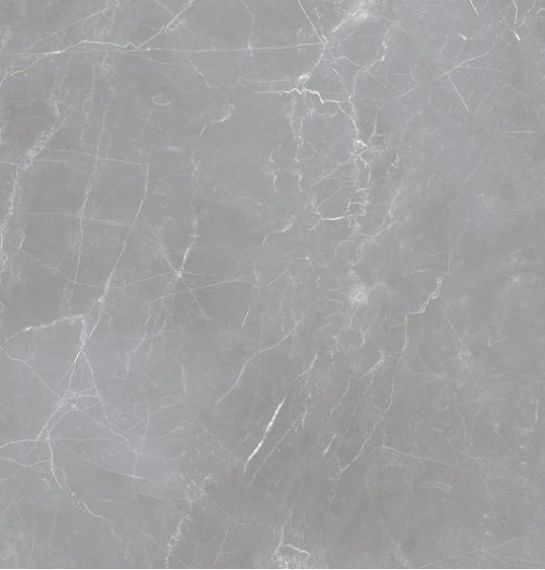 Arion Gray Dark 59.7х59.7