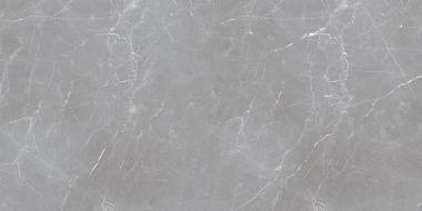 Arion Gray Dark 60x120