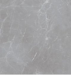 Arion Gray Dark 60x60