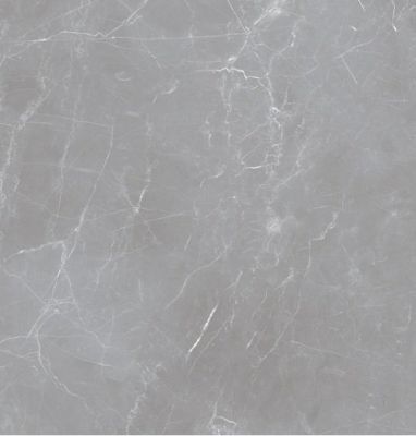Arion Gray Dark 60x60