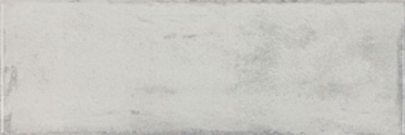 Arles Silver 10x30