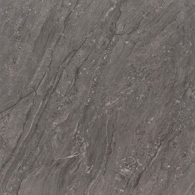 Arma Antrasit Parlak Nano Rectified 800x800
