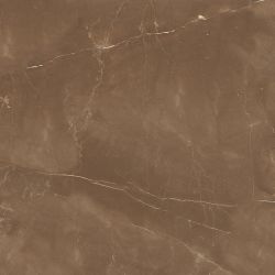 Armani Brown Satin 60x60