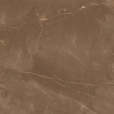 Armani Brown Satin 60x60