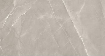 Armani Grey Silk 9mm 60x120