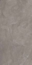 Armani Gris Glossy 600x1200