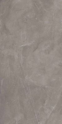Armani Gris Glossy 600x1200
