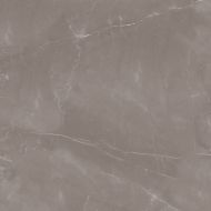 Armani Gris Satin 60x60