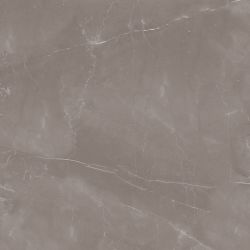 Armani Gris Satin 60x60