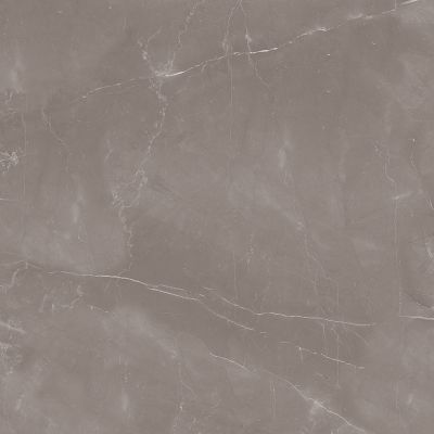Armani Gris Satin 60x60