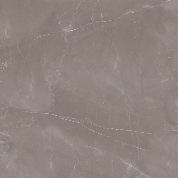 Armani Gris Satin 60x60