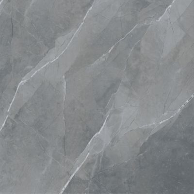 Armoni Light Grey Glossy 80x80
