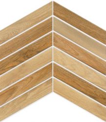 Arrow Cedar 8x40