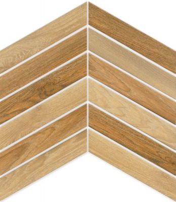 Arrow Cedar 8x40