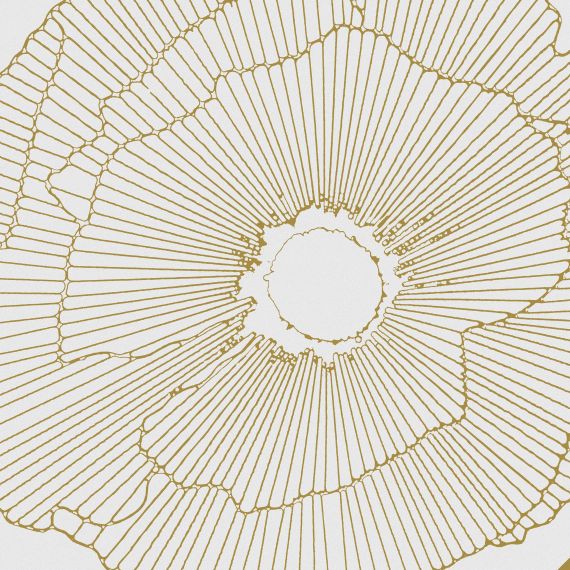 Art-Deco White Spritz Natural R10 29.75x29.75