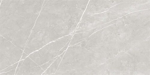 Artem Gris Glossy 6.5 mm 60x120