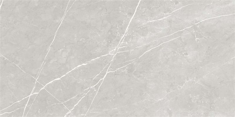 Artem Gris Glossy 6.5 mm 60x120