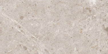 Artic Beige Pulido 59x119