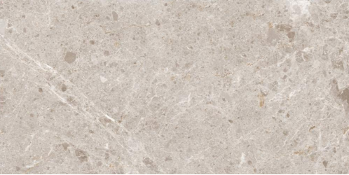 Artic Beige Pulido 59x119